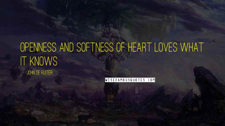 John De Ruiter Quotes: Openness and softness of heart loves what it knows