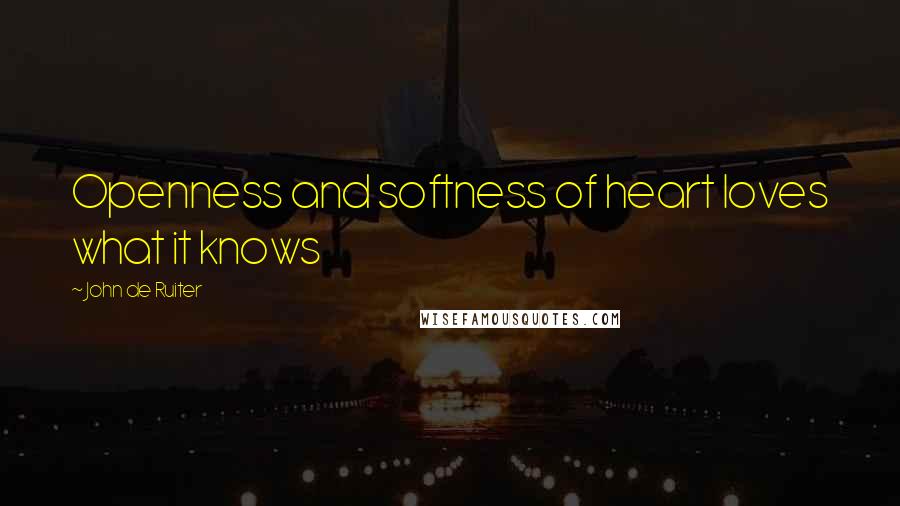 John De Ruiter Quotes: Openness and softness of heart loves what it knows