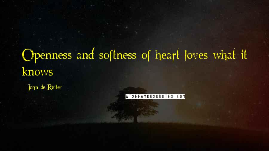 John De Ruiter Quotes: Openness and softness of heart loves what it knows