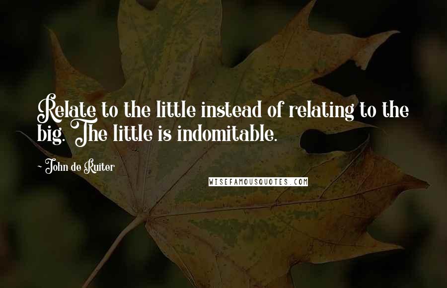 John De Ruiter Quotes: Relate to the little instead of relating to the big. The little is indomitable.