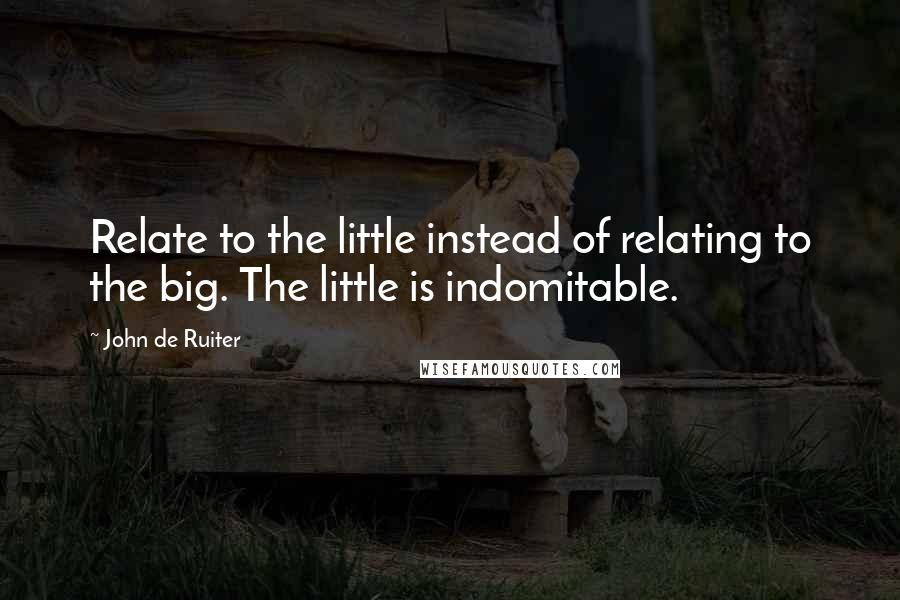 John De Ruiter Quotes: Relate to the little instead of relating to the big. The little is indomitable.