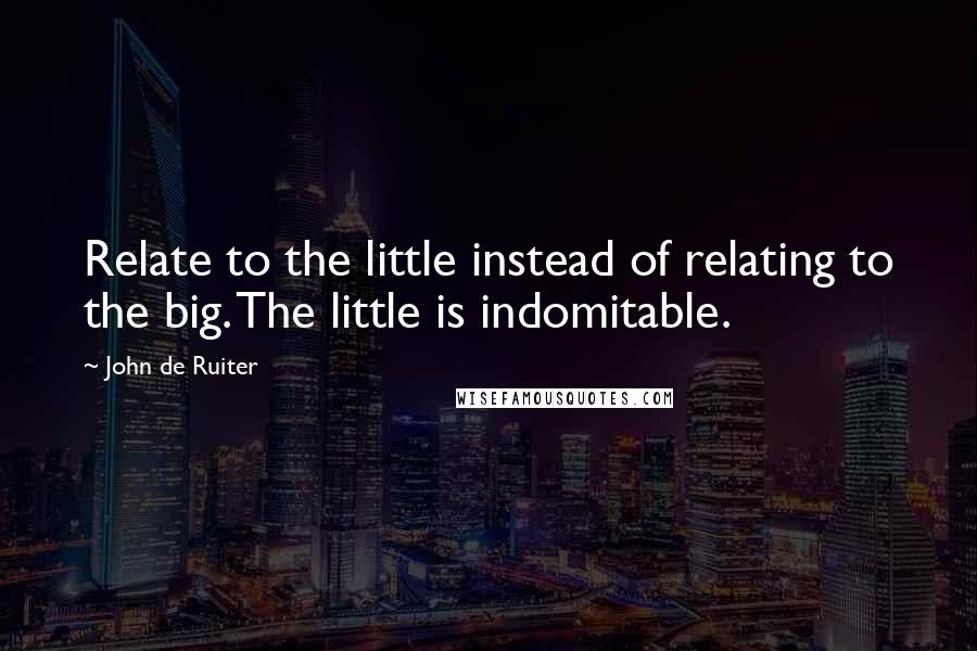 John De Ruiter Quotes: Relate to the little instead of relating to the big. The little is indomitable.