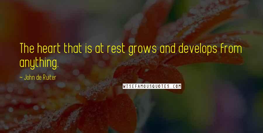 John De Ruiter Quotes: The heart that is at rest grows and develops from anything.