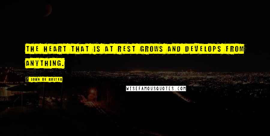 John De Ruiter Quotes: The heart that is at rest grows and develops from anything.