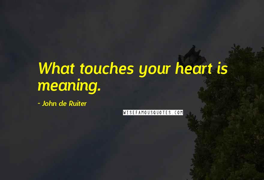 John De Ruiter Quotes: What touches your heart is meaning.
