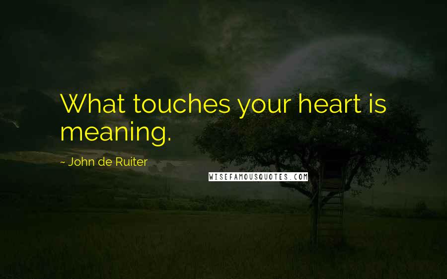 John De Ruiter Quotes: What touches your heart is meaning.