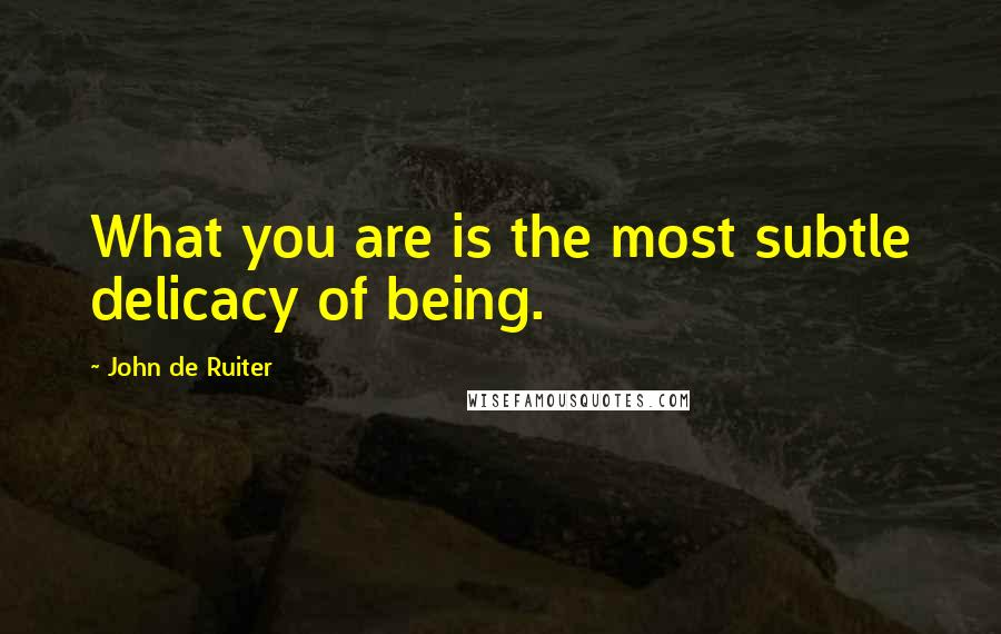 John De Ruiter Quotes: What you are is the most subtle delicacy of being.