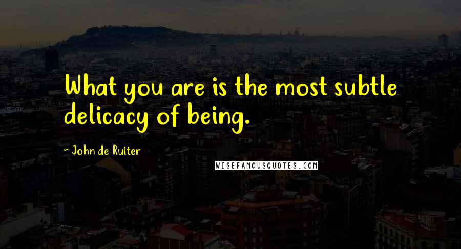 John De Ruiter Quotes: What you are is the most subtle delicacy of being.