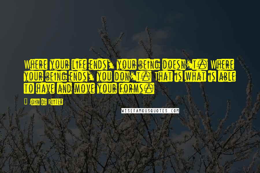 John De Ruiter Quotes: Where your life ends, your being doesn't. Where your being ends, you don't. That is what is able to have and move your forms.