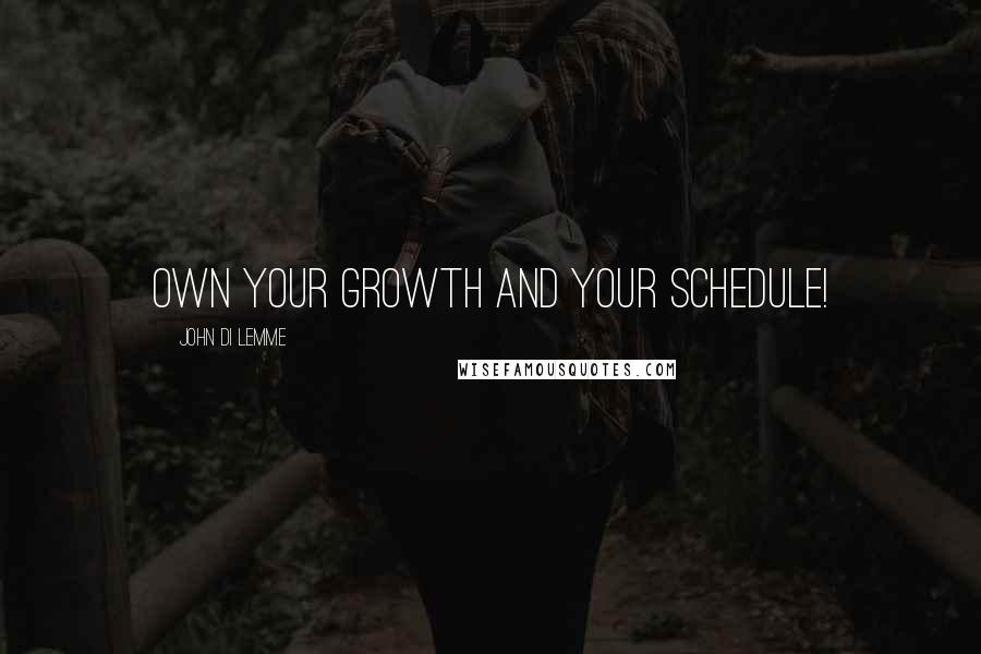 John Di Lemme Quotes: Own your growth and your schedule!