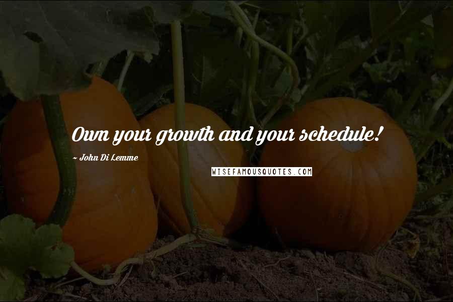 John Di Lemme Quotes: Own your growth and your schedule!