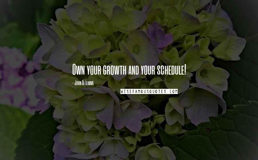 John Di Lemme Quotes: Own your growth and your schedule!