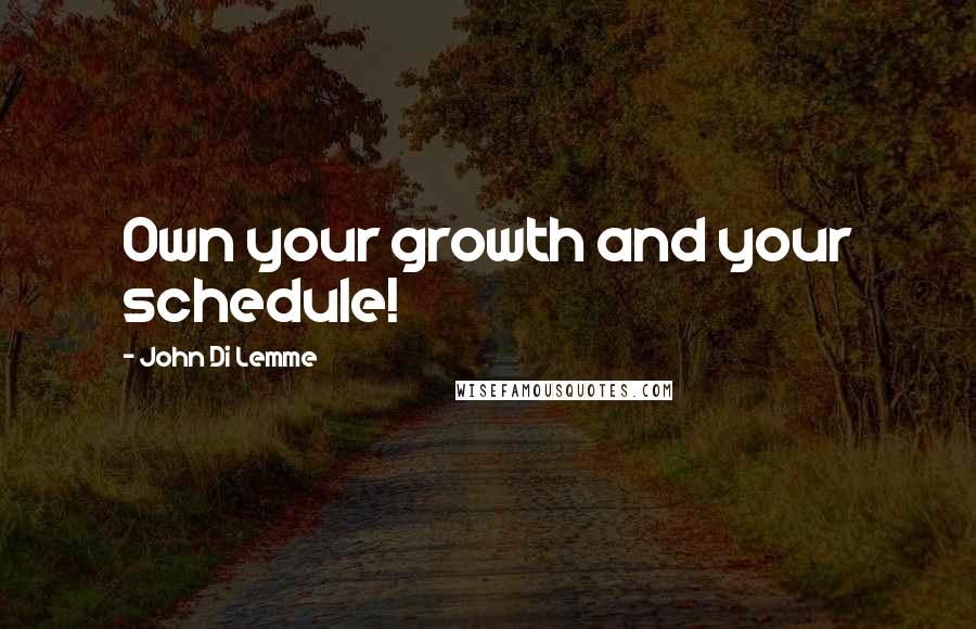 John Di Lemme Quotes: Own your growth and your schedule!