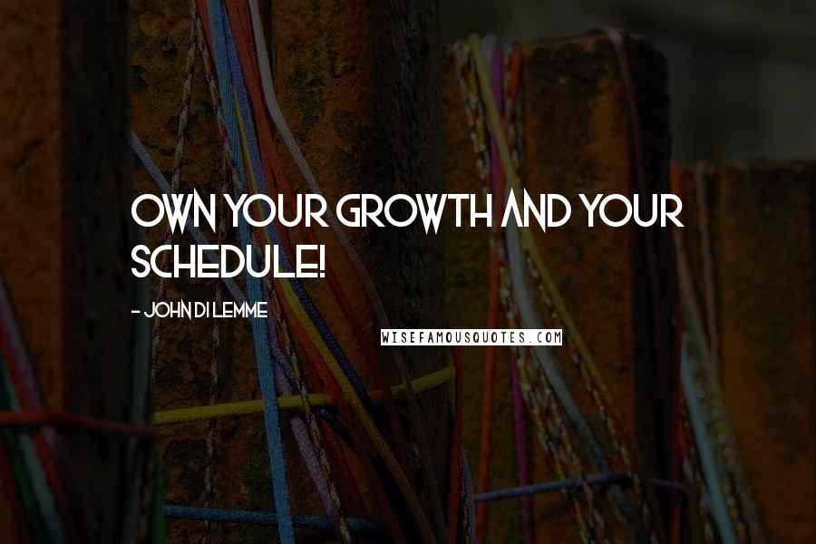 John Di Lemme Quotes: Own your growth and your schedule!