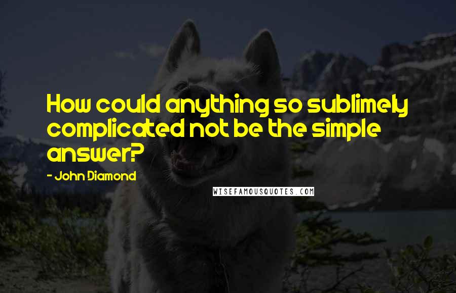 John Diamond Quotes: How could anything so sublimely complicated not be the simple answer?