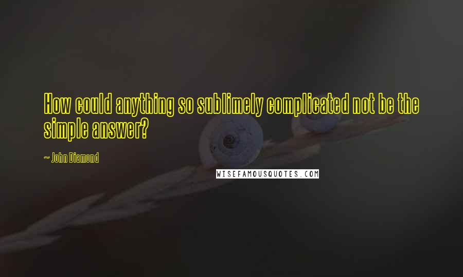 John Diamond Quotes: How could anything so sublimely complicated not be the simple answer?