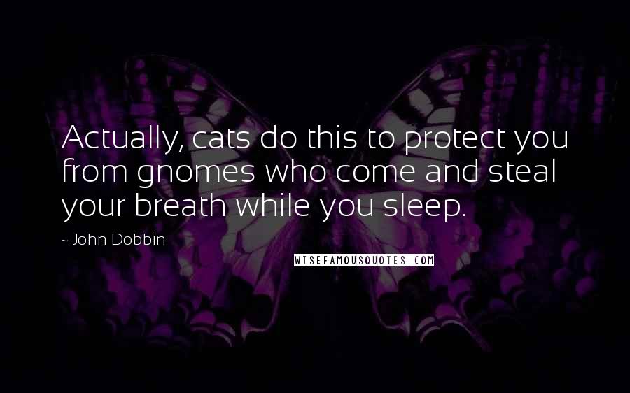 John Dobbin Quotes: Actually, cats do this to protect you from gnomes who come and steal your breath while you sleep.