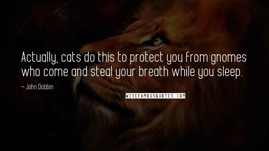 John Dobbin Quotes: Actually, cats do this to protect you from gnomes who come and steal your breath while you sleep.