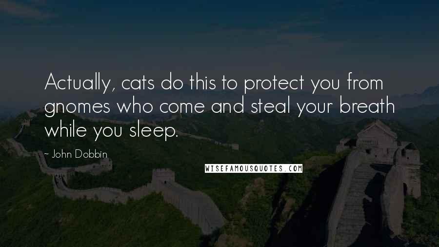 John Dobbin Quotes: Actually, cats do this to protect you from gnomes who come and steal your breath while you sleep.