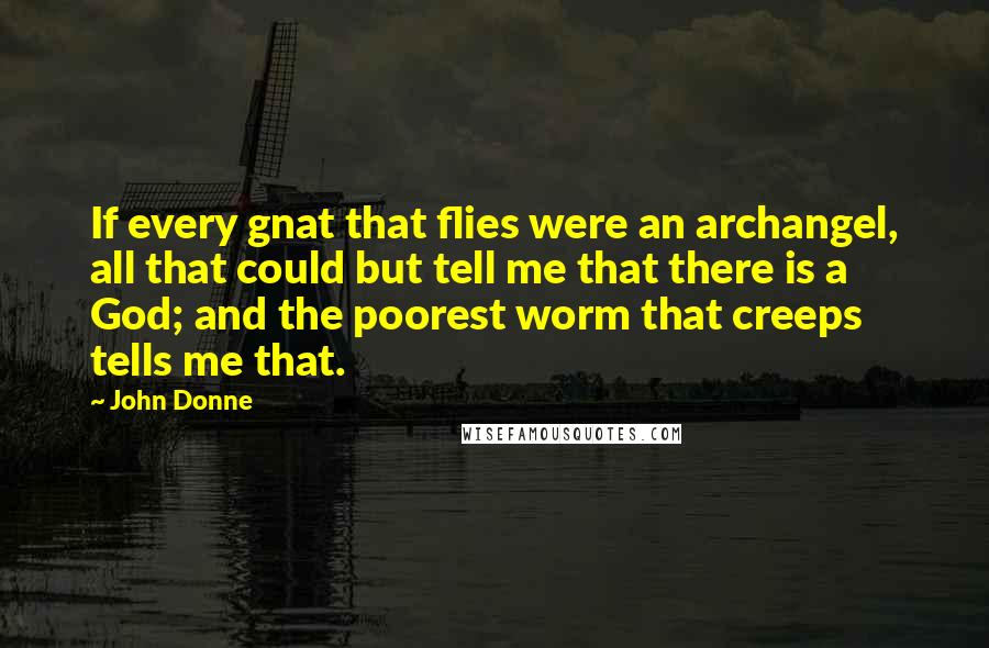 John Donne Quotes: If every gnat that flies were an archangel, all that could but tell me that there is a God; and the poorest worm that creeps tells me that.