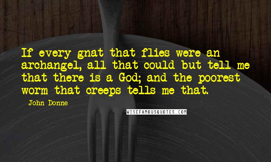 John Donne Quotes: If every gnat that flies were an archangel, all that could but tell me that there is a God; and the poorest worm that creeps tells me that.