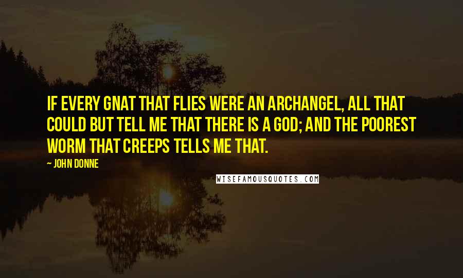 John Donne Quotes: If every gnat that flies were an archangel, all that could but tell me that there is a God; and the poorest worm that creeps tells me that.