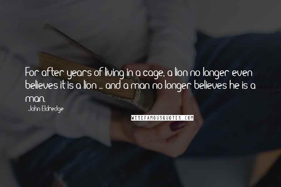 John Eldredge Quotes: For after years of living in a cage, a lion no longer even believes it is a lion ... and a man no longer believes he is a man.