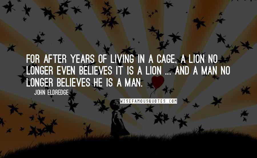 John Eldredge Quotes: For after years of living in a cage, a lion no longer even believes it is a lion ... and a man no longer believes he is a man.