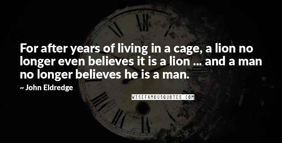 John Eldredge Quotes: For after years of living in a cage, a lion no longer even believes it is a lion ... and a man no longer believes he is a man.