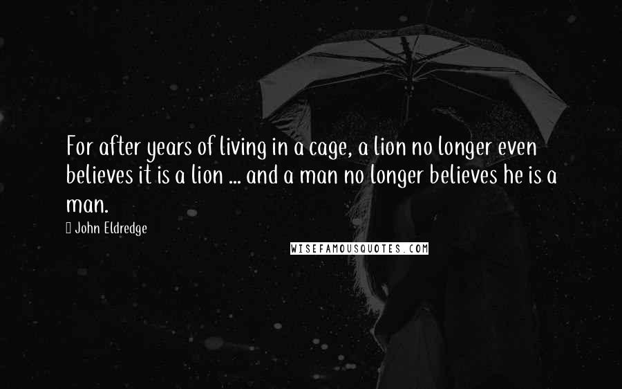 John Eldredge Quotes: For after years of living in a cage, a lion no longer even believes it is a lion ... and a man no longer believes he is a man.