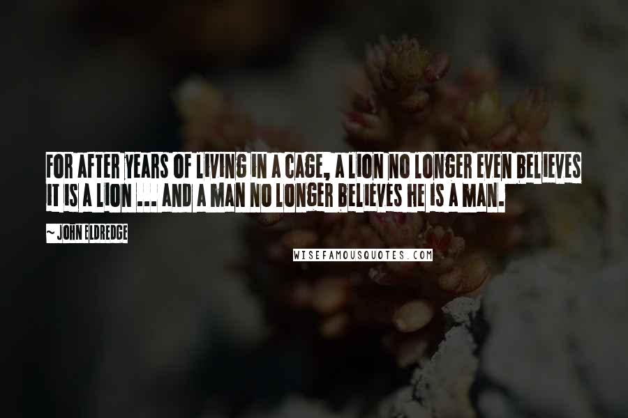 John Eldredge Quotes: For after years of living in a cage, a lion no longer even believes it is a lion ... and a man no longer believes he is a man.