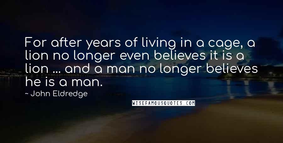 John Eldredge Quotes: For after years of living in a cage, a lion no longer even believes it is a lion ... and a man no longer believes he is a man.