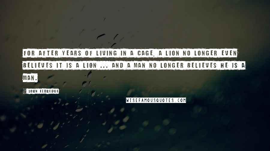 John Eldredge Quotes: For after years of living in a cage, a lion no longer even believes it is a lion ... and a man no longer believes he is a man.