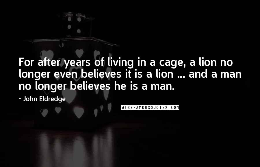 John Eldredge Quotes: For after years of living in a cage, a lion no longer even believes it is a lion ... and a man no longer believes he is a man.