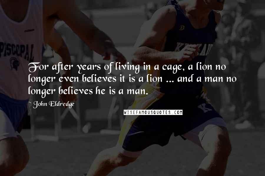John Eldredge Quotes: For after years of living in a cage, a lion no longer even believes it is a lion ... and a man no longer believes he is a man.
