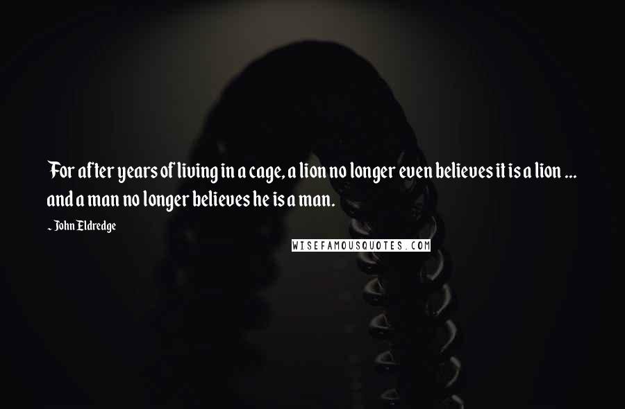 John Eldredge Quotes: For after years of living in a cage, a lion no longer even believes it is a lion ... and a man no longer believes he is a man.