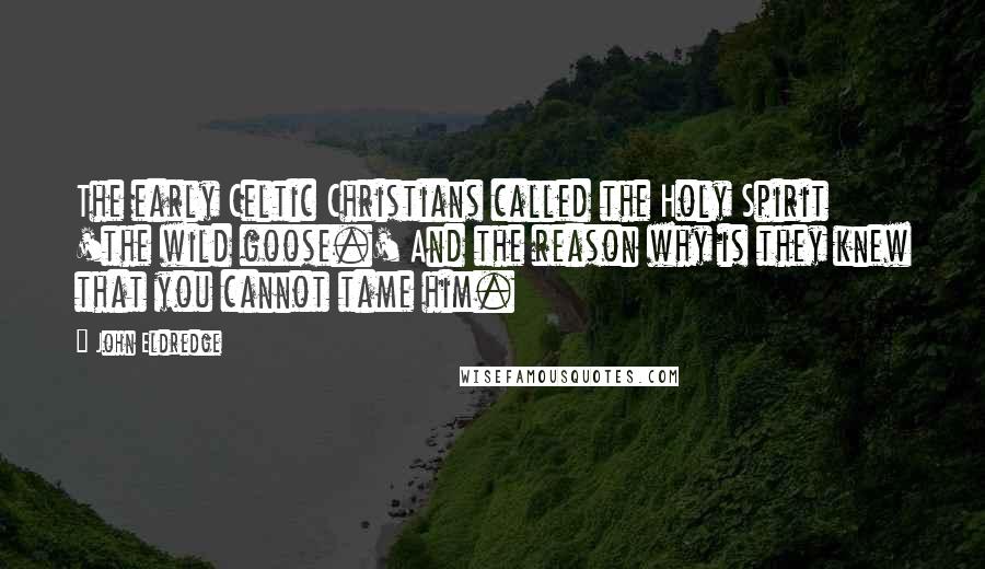 John Eldredge Quotes: The early Celtic Christians called the Holy Spirit 'the wild goose.' And the reason why is they knew that you cannot tame him.