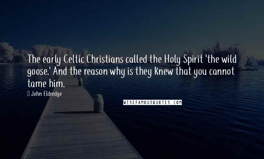 John Eldredge Quotes: The early Celtic Christians called the Holy Spirit 'the wild goose.' And the reason why is they knew that you cannot tame him.