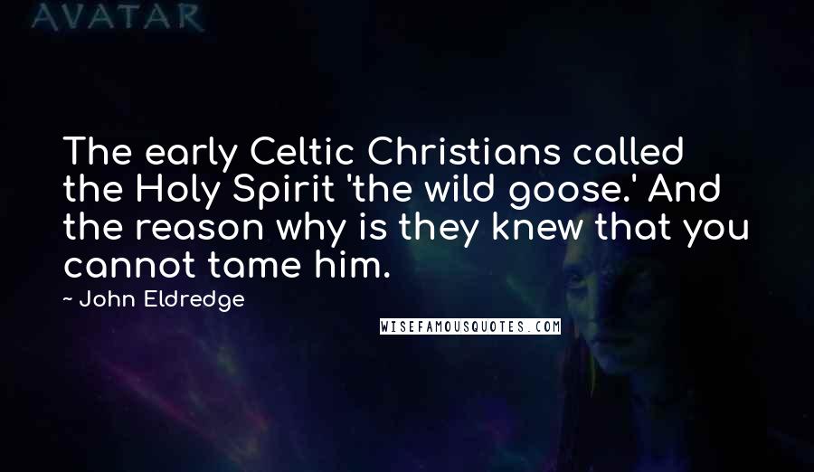 John Eldredge Quotes: The early Celtic Christians called the Holy Spirit 'the wild goose.' And the reason why is they knew that you cannot tame him.