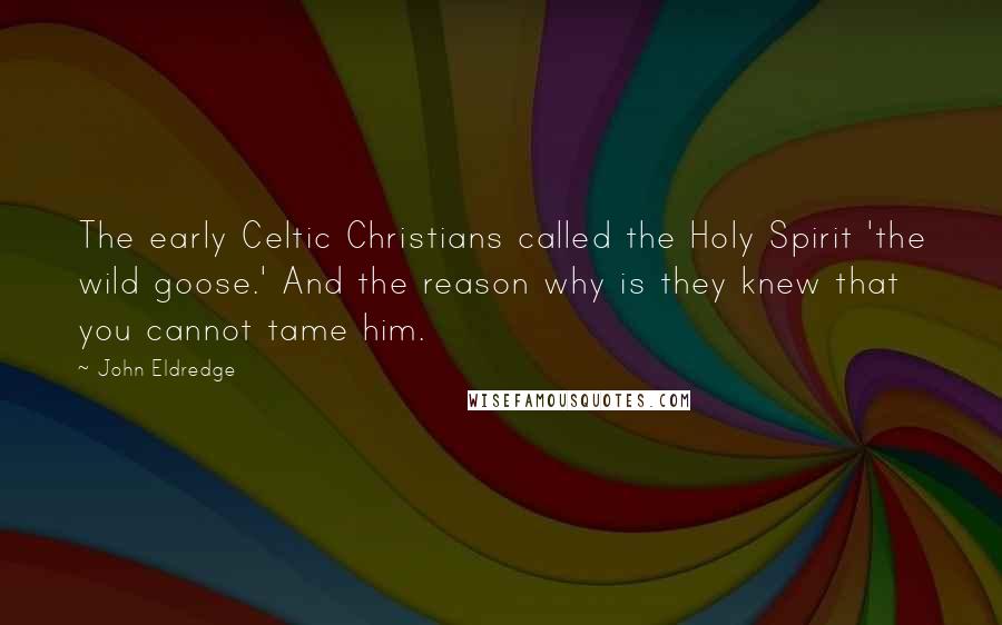 John Eldredge Quotes: The early Celtic Christians called the Holy Spirit 'the wild goose.' And the reason why is they knew that you cannot tame him.