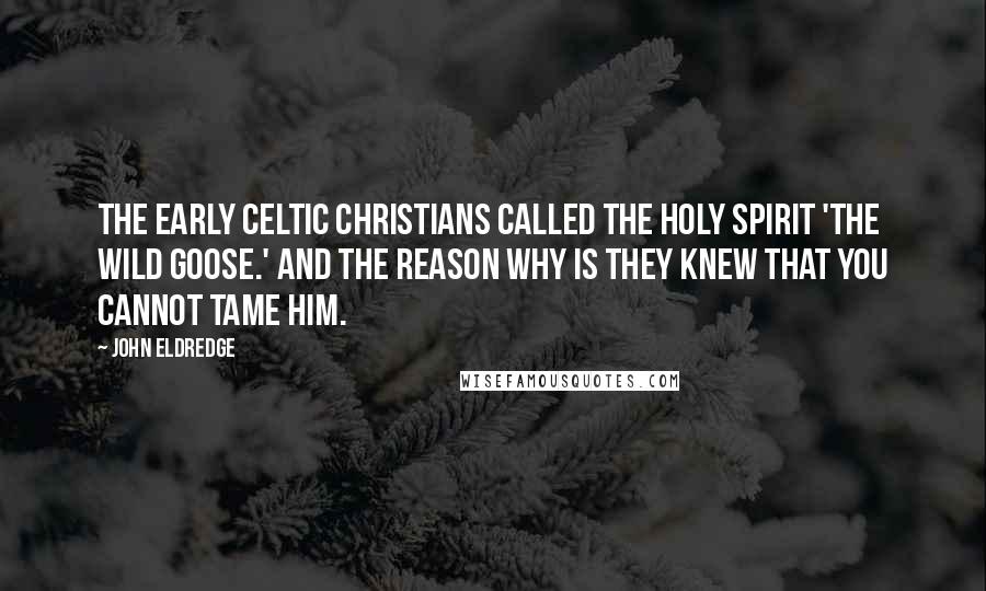 John Eldredge Quotes: The early Celtic Christians called the Holy Spirit 'the wild goose.' And the reason why is they knew that you cannot tame him.