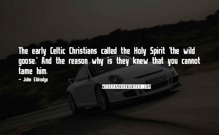 John Eldredge Quotes: The early Celtic Christians called the Holy Spirit 'the wild goose.' And the reason why is they knew that you cannot tame him.