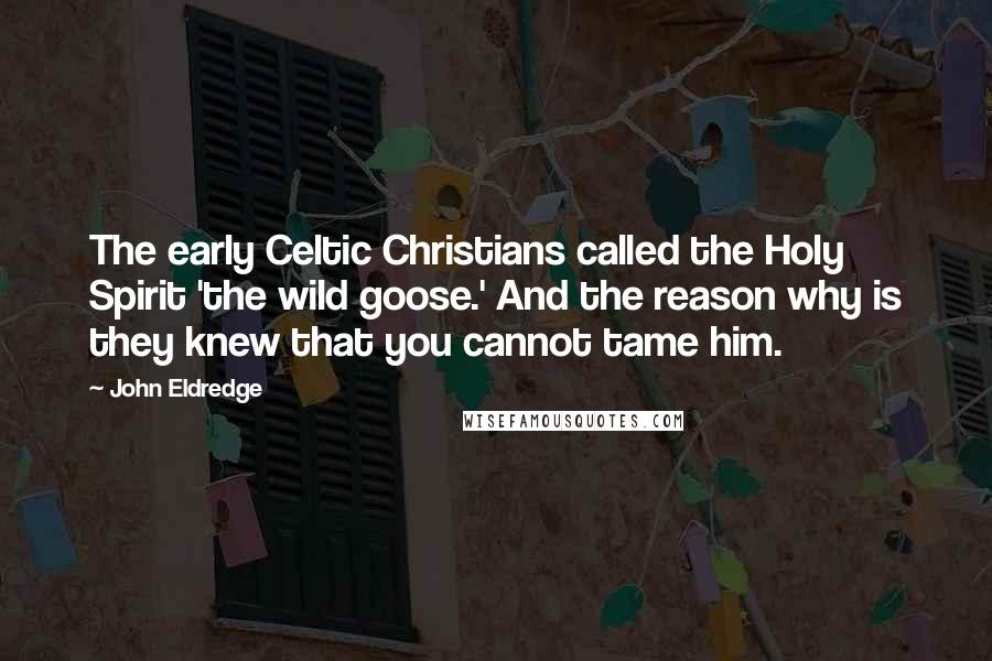 John Eldredge Quotes: The early Celtic Christians called the Holy Spirit 'the wild goose.' And the reason why is they knew that you cannot tame him.