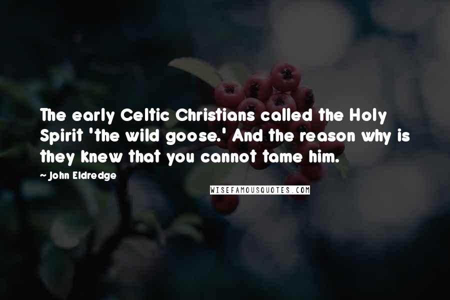 John Eldredge Quotes: The early Celtic Christians called the Holy Spirit 'the wild goose.' And the reason why is they knew that you cannot tame him.