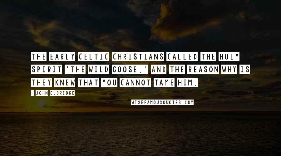 John Eldredge Quotes: The early Celtic Christians called the Holy Spirit 'the wild goose.' And the reason why is they knew that you cannot tame him.