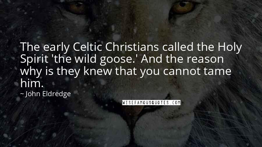 John Eldredge Quotes: The early Celtic Christians called the Holy Spirit 'the wild goose.' And the reason why is they knew that you cannot tame him.
