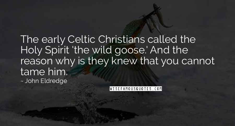 John Eldredge Quotes: The early Celtic Christians called the Holy Spirit 'the wild goose.' And the reason why is they knew that you cannot tame him.