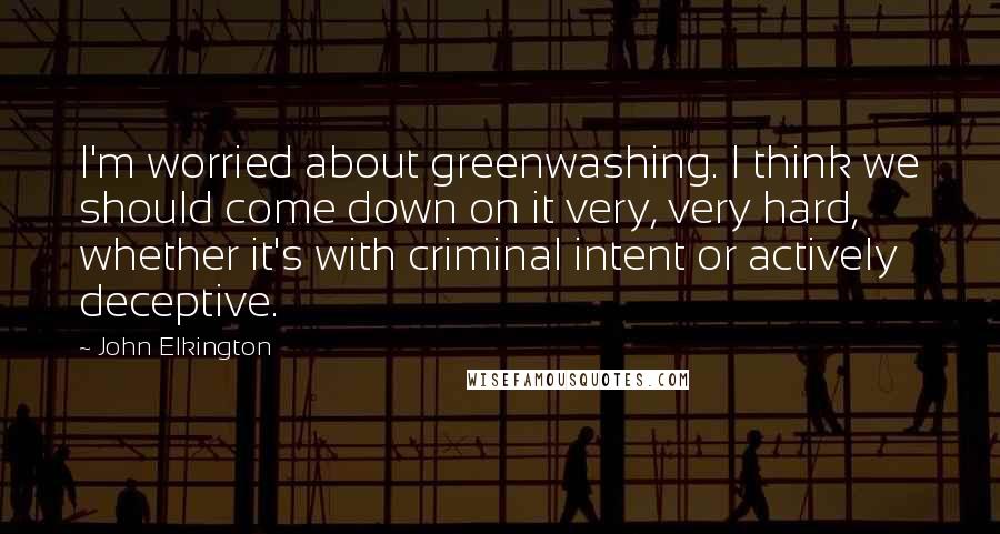 John Elkington Quotes: I'm worried about greenwashing. I think we should come down on it very, very hard, whether it's with criminal intent or actively deceptive.