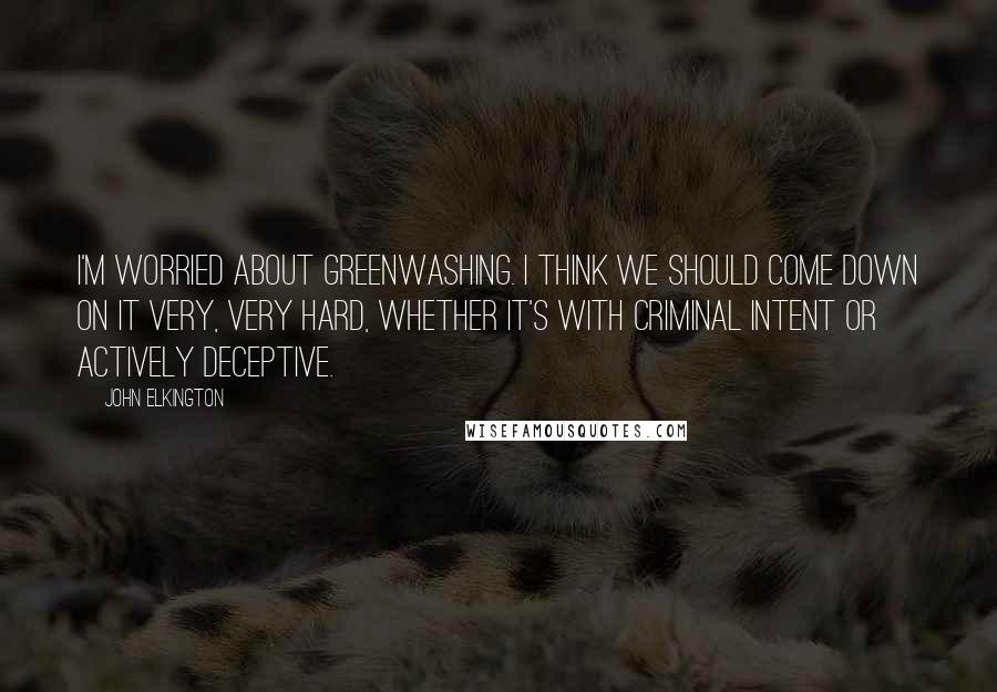 John Elkington Quotes: I'm worried about greenwashing. I think we should come down on it very, very hard, whether it's with criminal intent or actively deceptive.