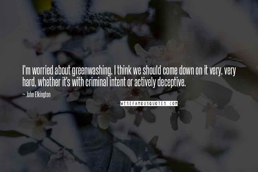 John Elkington Quotes: I'm worried about greenwashing. I think we should come down on it very, very hard, whether it's with criminal intent or actively deceptive.